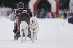 Lenzerheide 2013